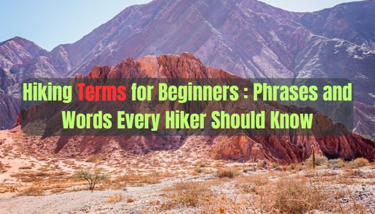 Hiking Terms for Beginners: Phrases and Words Every Hiker Should Know