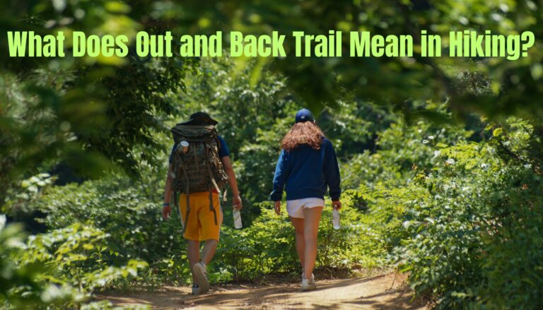 What Does Out and Back Trail Mean in Hiking?