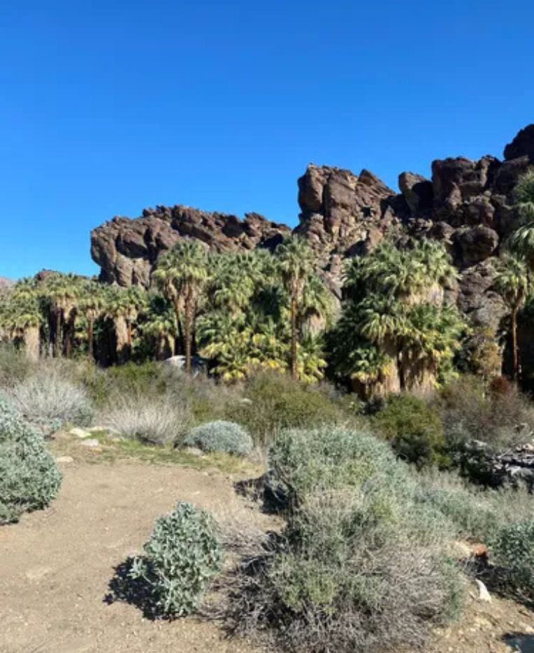 palm springs  Andreas Canyon Trail 