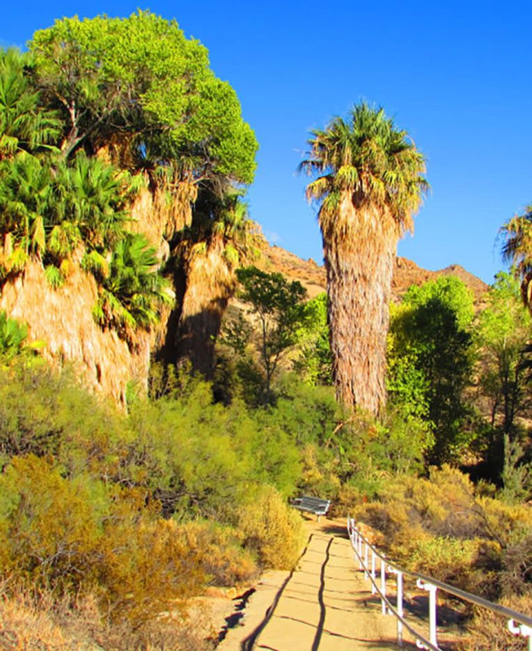 Bear Creek Oasis Trailac