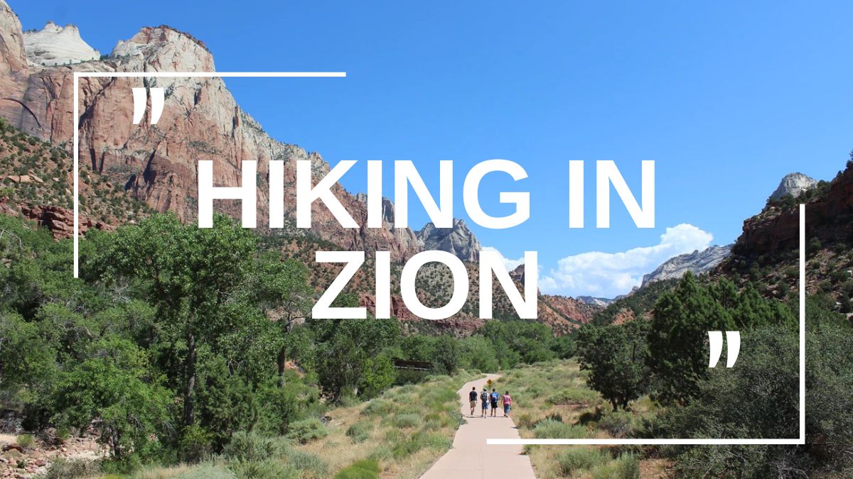 Discover the Beauty of Zion National Park Hiking Trails