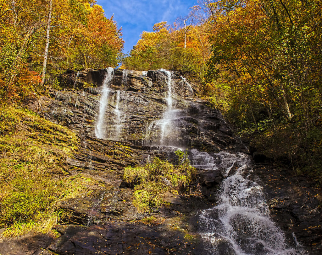 Amicalola Falls Loop Trail