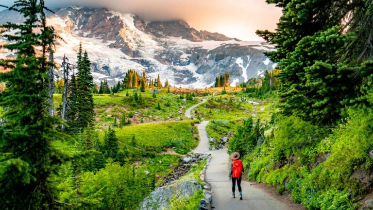 Hiking Mount Rainier National Park Best Trails