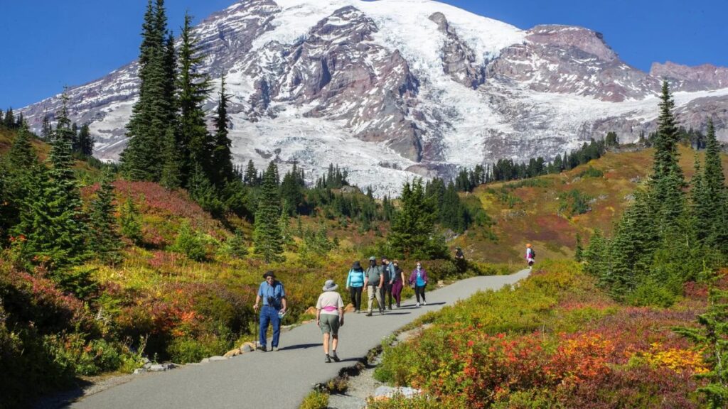 Best hikes in Mount Rainier National Park
