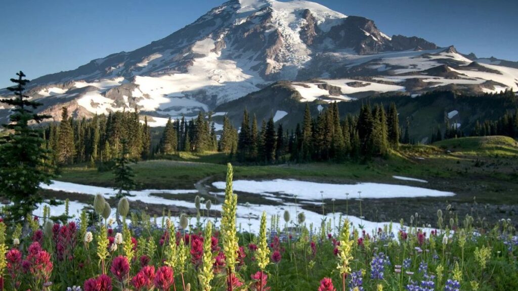 Mount Rainier good for beginners