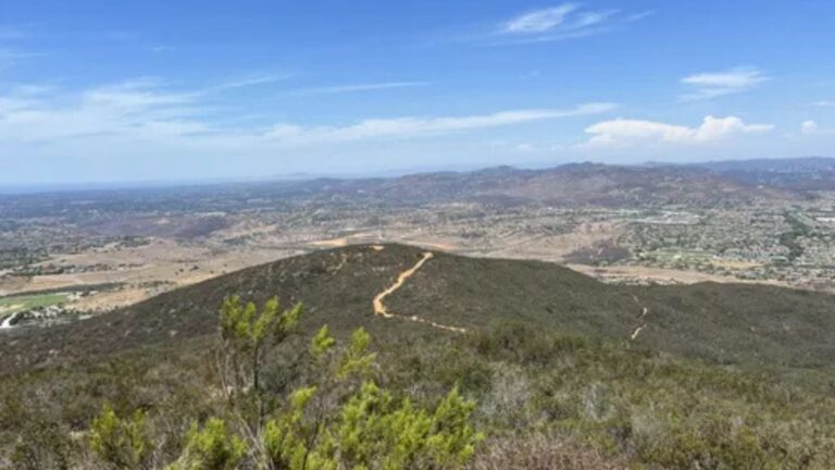 Black Mountain Trail to the Fire Lookout Complete Hiking Guide